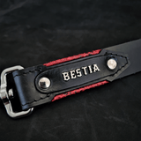 The ''Red Dragon'' leash