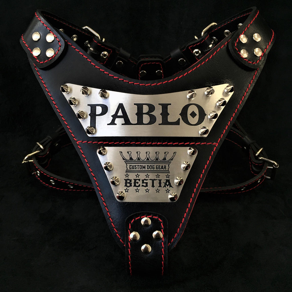 Personalized Leather Dog Harness – Bestia Dog Gear