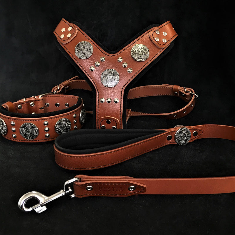"Maximus Silver" BIG dog SET- Harness - collar - lead. Brown
