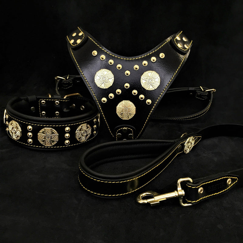 "Maximus Black" BIG dog SET- Harness - collar - lead. Brass rivets
