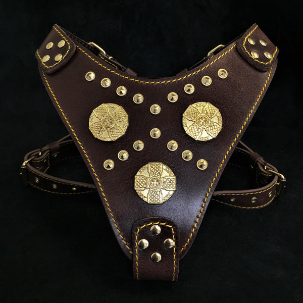 The "Maximus" brown harness