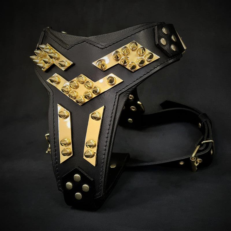 The ''Midas'' leather dog harness gold