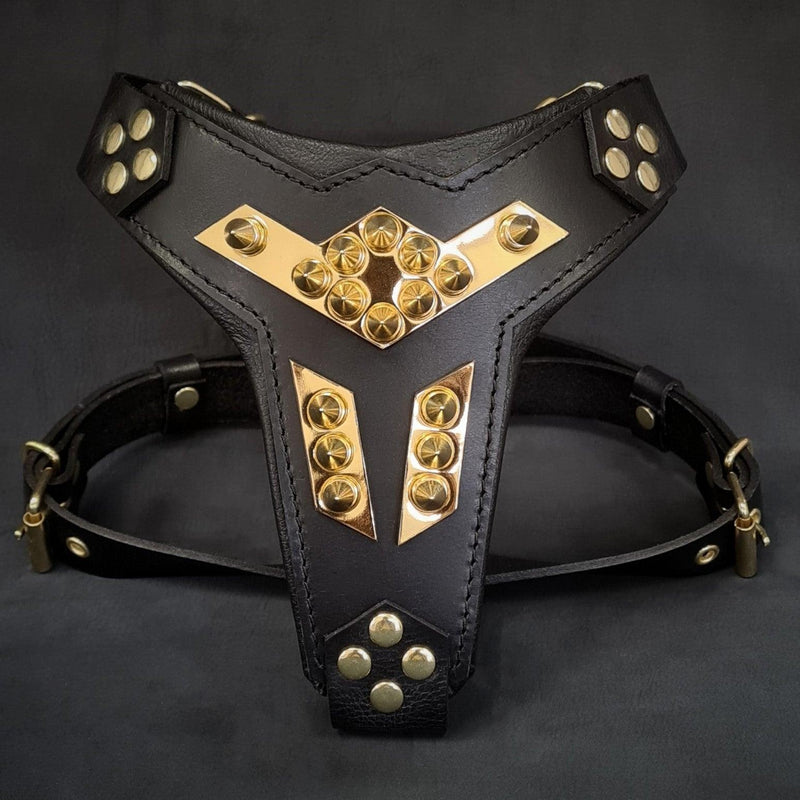 ''Midas'' leather dog harness gold medium size