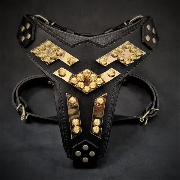 The ''Midas'' leather dog harness gold