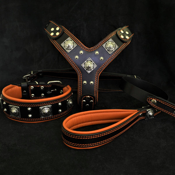 "EROS" BIG dog SET- Harness - collar - lead. Black & Orange