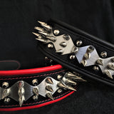  "Edelstahl" Halsband