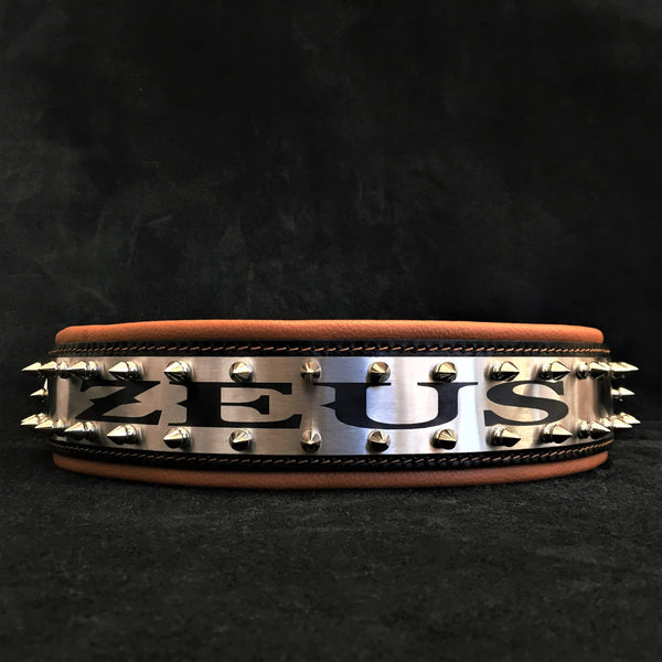 The "Metal" collar- personalized!