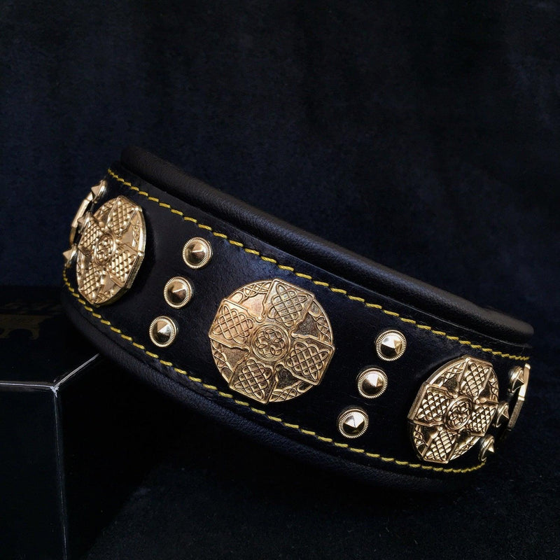 The "Maximus" collar 2.5 inch wide black & gold